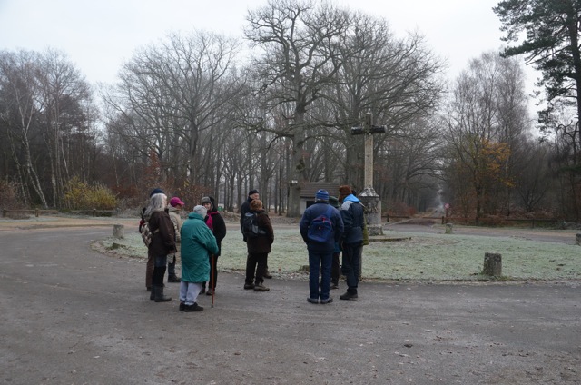 2011-12-&Agrave;	 la découverte des lichens